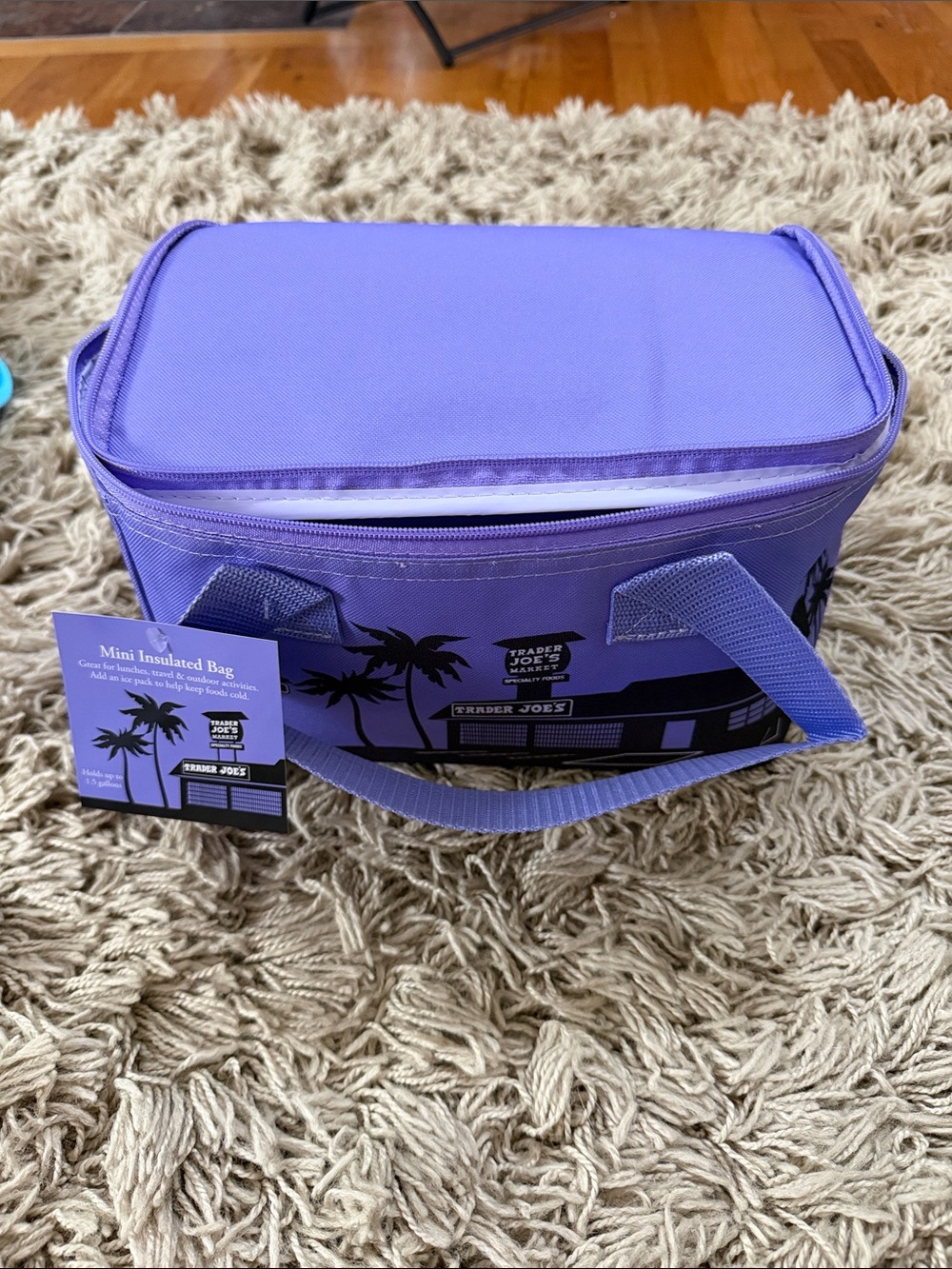 Trader Joe's Purple Mini Insulated Cooler Bag